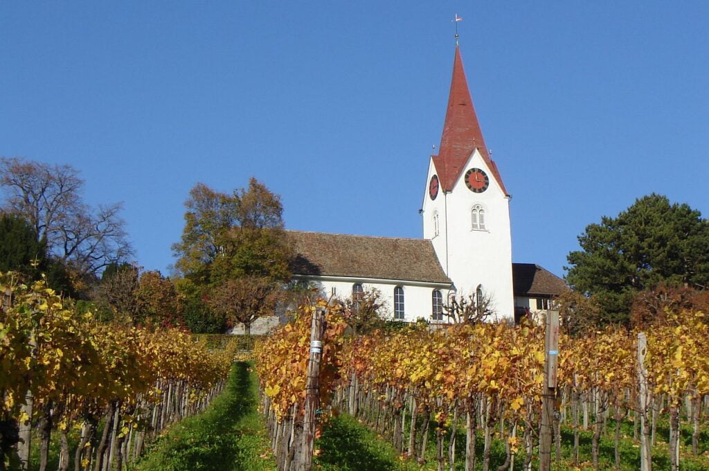 Kirche Höngg mit Rebberg im Herbst